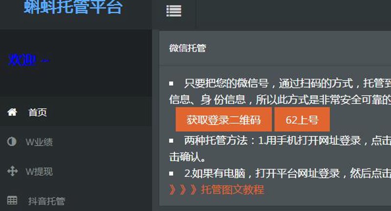 站群系统的崛起与影响